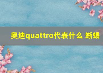 奥迪quattro代表什么 蜥蜴